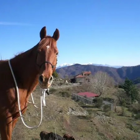 Casa Della Barcareccia *