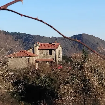 Фермерский дом Casa Della Barcareccia - Per Gruppi Calice al Cornoviglio