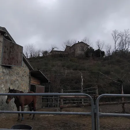 Casa Della Barcareccia - Per Gruppi * Calice al Cornoviglio